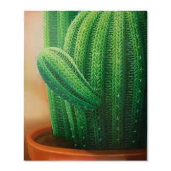 박재영ㅣWoolscape-Prickly cactus