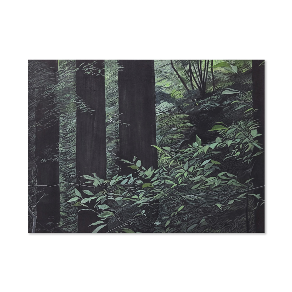 오한솜 | 숲의 풍경