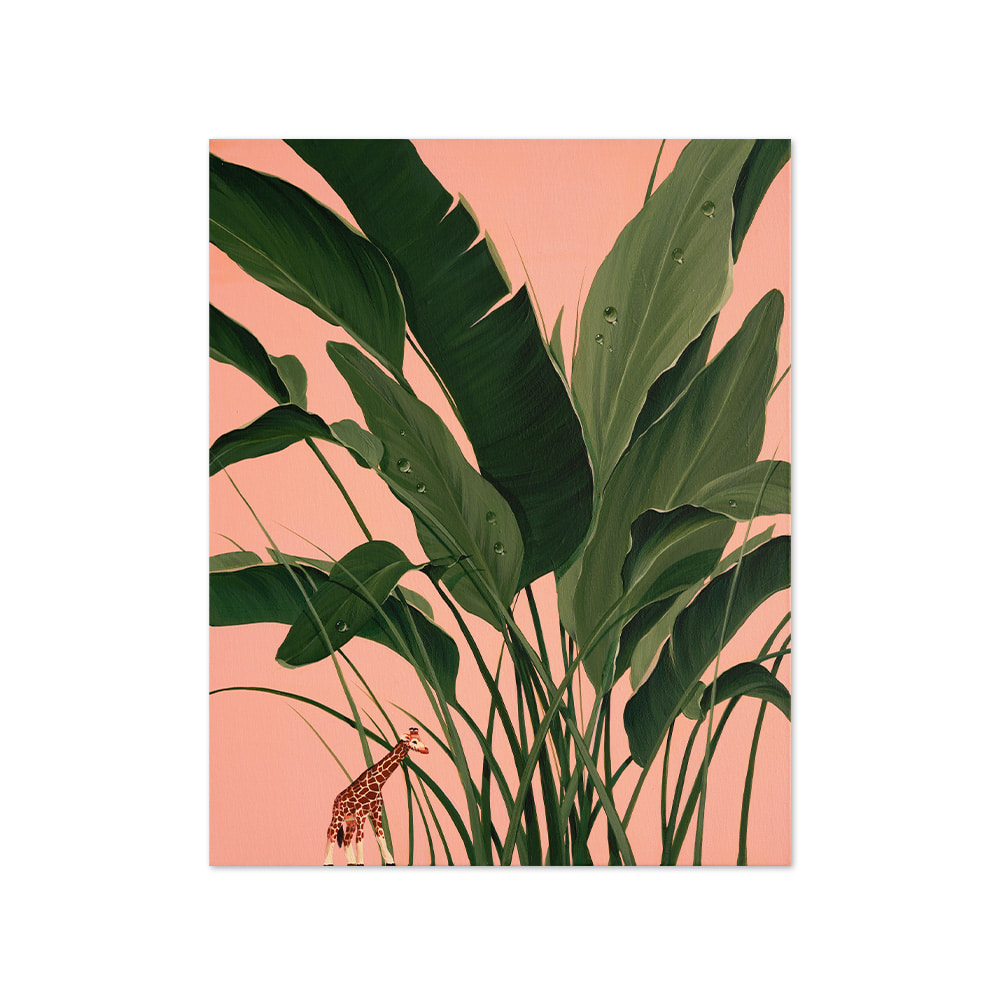 황다연 | Pink plant 6